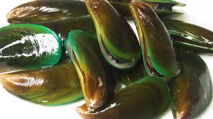 Savesave cara masak kerang hijau dengan saus tiram for later. Jangan Pernah Makan Kerang Hijau Yang Cangkangnya Tidak Terbuka Setelah Dimasak Mengapa The Editor