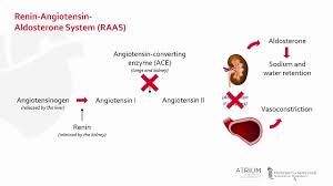 ace inhibitors mechanism of action side effects and