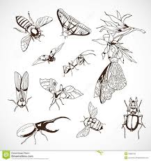 However, the decency of the tattoo readily depends on the skill and experience of a tattoo artist. Bumblebee Tattoo Design