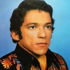 Significado de la canción MI SANGRE LATINA (Nelson Ned)