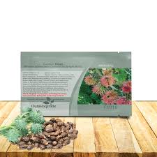 Image result for Ricinus communis