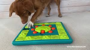 Nina ottosson interactive dog miracle puzzle replacement piece toy blue plastic preowned has been in storage and should be washed prior to initial use. Nina Ottosson Dog Multipuzzle Level 4 Youtube