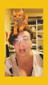 This Week at Wilson Arts 5/28/24