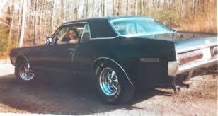 Image result for Medium Dark Spruce 1981 Mercury