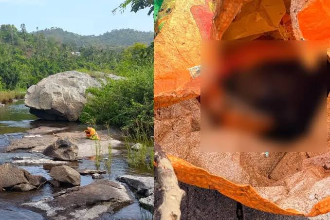 Body parts found in sacks in Attappadi's Bhavani river, investigation underway | Mathrubhumi English