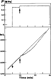 Figure 7 From In Vivo Creep And Stress Relaxation