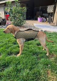 Best Dog Vests Refuge Forums