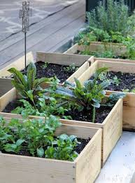 Container Gardening Idea Make A Wine Box Salad Garden Small Vegetable Gardens Wine Box Garden Container Gardening Vegetables