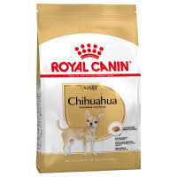 Wie lange wächst er und was sollte ich unbedingt beachten? Royal Canin Chihuahua Adult Brocken Kroketten Trockenfutter Hund Gunstig Im Preisvergleich Petadilly