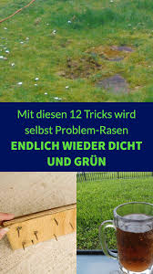 Mit Diesen 12 Tricks Wird Selbst Problem Rasen Endlich Wieder Dicht Und Grun 12 Fehler Bei Der Rasenpflege Und Tip In 2020 Garten Anpflanzen Garten Bepflanzen Garten