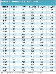 daily low tidal volume ventilation data collection tool