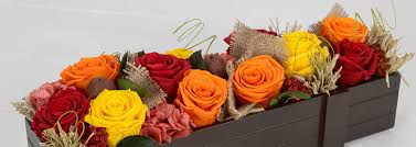 Maybe you would like to learn more about one of these? How To Take Care Of Premium Preserved Roses Sense Ecuador