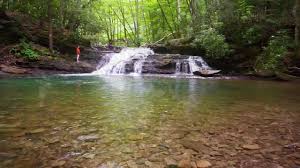 Shooting sports are welcome on national forest system lands. West Virginia Monongahela National Forest Youtube