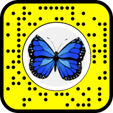 Snap To Unlock Snapchat Blue Butterfly Butterfly Snapchat Filters