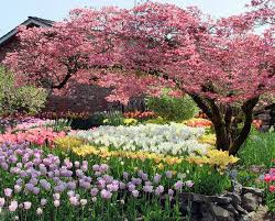 Oh My Word This Is So Peaceful Beautiful Gardens Flowering Trees Beautiful Flowers