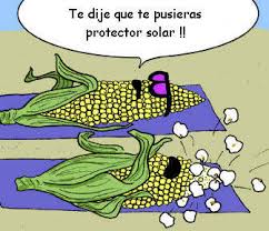 Imagen relacionada