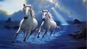 Image Result For Horse Hd Wallpapers 1920x1080 Diamond Painting Horses White Horses