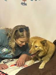 🐾HUSKY UPDATE 🐾 There have been a lot of questions about who is who with  the Huskies, and how the ones that have been caught, are doing! They are  doing fabulous !