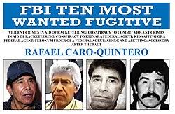 They later flew to caborca, sonora where rafael had a huge ranch. Rafael Caro Quintero Wikipedia La Enciclopedia Libre