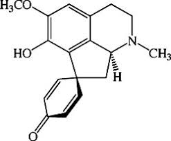 Image result for Antizoma angustifolia