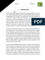 Check spelling or type a new query. Diccionario Abejorro Naturaleza