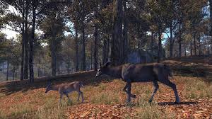 While it's ideal for beginners and those who don't mind a bit less. New Screens For Activision S Cabela S Big Game Hunter Pro Hunts 360 Ps3 Wii U Pc Outdoorhub