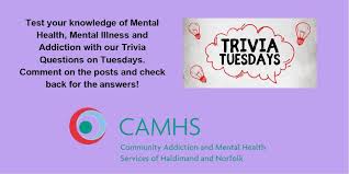 Taking care of a baby is no walk in the park. Camhs Wellness Recovery Bad Parenting Causes Mental Illnesses True Or False Facebook