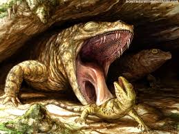 Image result for Osyridicarpos