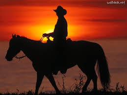 Image result for cowboy