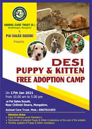 Maybe you would like to learn more about one of these? Free Adoption Camp For Desi Puppy Kitten In Mangalore Check Out The Details