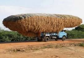 17 rare and interesting things you don t see everyday funny pictures trucks transportation
