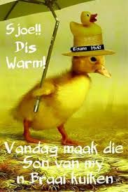 I locked the door and turned on the water to fill the tub. 25 It S Hot Out There Ideas Afrikaans Quotes Funny Hot Weather Humor