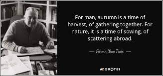Top 19 Gathering Together Quotes A Z Quotes