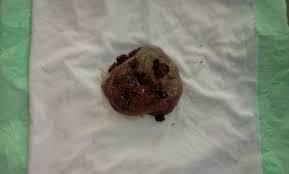 Kita mulakan cara basuh uri. 20 Langkah Cara Basuh Dan Tanam Uri Bayi Untuk Rujukan Para Ayah