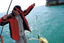 How To Catch Fish While Sailing Practical Boat Owner