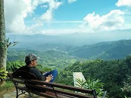 Bagaimana jika teh yang anda minum bisa anda petik langsung dari kebunnya. Rute Dan Harga Tiket Masuk Kebun Teh Nglinggo Samigaluh Kulon Progo Menikmati Keindahan Alam Bebas Tanpa Batas Daka Tour