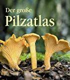 Champignons Sammeln Essbare Arten Und Giftige Doppelganger Essbare Pilze Pilze Pilze Im Garten