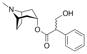 The vagus (parasympathetic) nerves that innervate the heart release acetylcholine (ach) as their primary neurotransmitter. Atropine Wikipedia