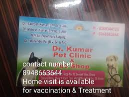 Here at the natural pet doctor, you'll receive honest and expert holistic veterinary telehealth and housecall services in the northern colorado region to optimize your pet's health through holistic pet food, dog. Dr Kumar Pet Clinic Pet Shop Home Facebook