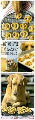 Oat And Apple Pretzel Dog Treats Diy Dog Treats Dogs Homemade Dog