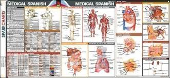 medical spanish sparkcharts 9781411404748 amazon com books