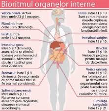 Papadia este foarte buna si in tratarea bolilor de ficat. Pin On Corpul Omenesc