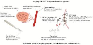 Image result for Aprepitant