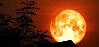 Siêu trăng diễn ra trùng với mùa trung thu nên càng thu hút sự chú ý của người xem, nhất là giới yêu thích thiên văn. Ä'on Sieu TrÄƒng Sang Va Lá»›n Nháº¥t 2021 Trong Thang 5 Vtv Vn