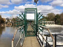 The island's name dates from when the ray family managed a flourmill here. Meet The Animals Of Ray Mill Island Maidenhead Toddle Doddle