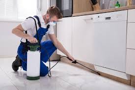 And our complete service covers every aspect of inspections including pool safety, termite inspections, building and pest inspections and hand over. Think You Re Cut Out For Doing Termite Inspection Brisbane Take This Quiz Erickehfo291 Over Blog Com