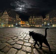 It Looks Bit Horrific But It Is Just A Cat Walking On Strasbourg S Streets Daily Lol Pics Stray Cat Black Cat Cat Pics
