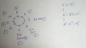 Eight Family Members A B C D E F G And