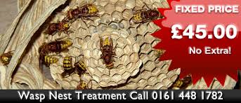 Your locally owned family operated pest control specialists. Pest Control Manchester Wasp Nest 45 00 Mice Rats Fleas Bedbugs Cockroaches