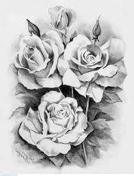 The rose is considered as an ideal flower due to its amazing appeal. Gaeroladid White Rose Tattoo Drawing Images